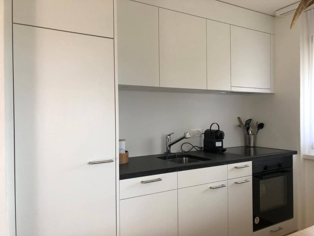 Renovated 3 Rooms Apartment In Ruschein Near Laax Exterior photo